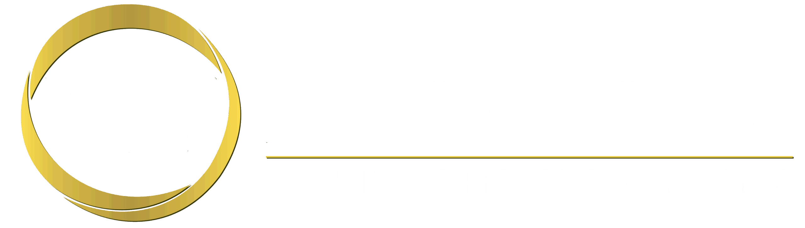 LOGO VOX REDESENHADO BRANCO HORIZONTAL2